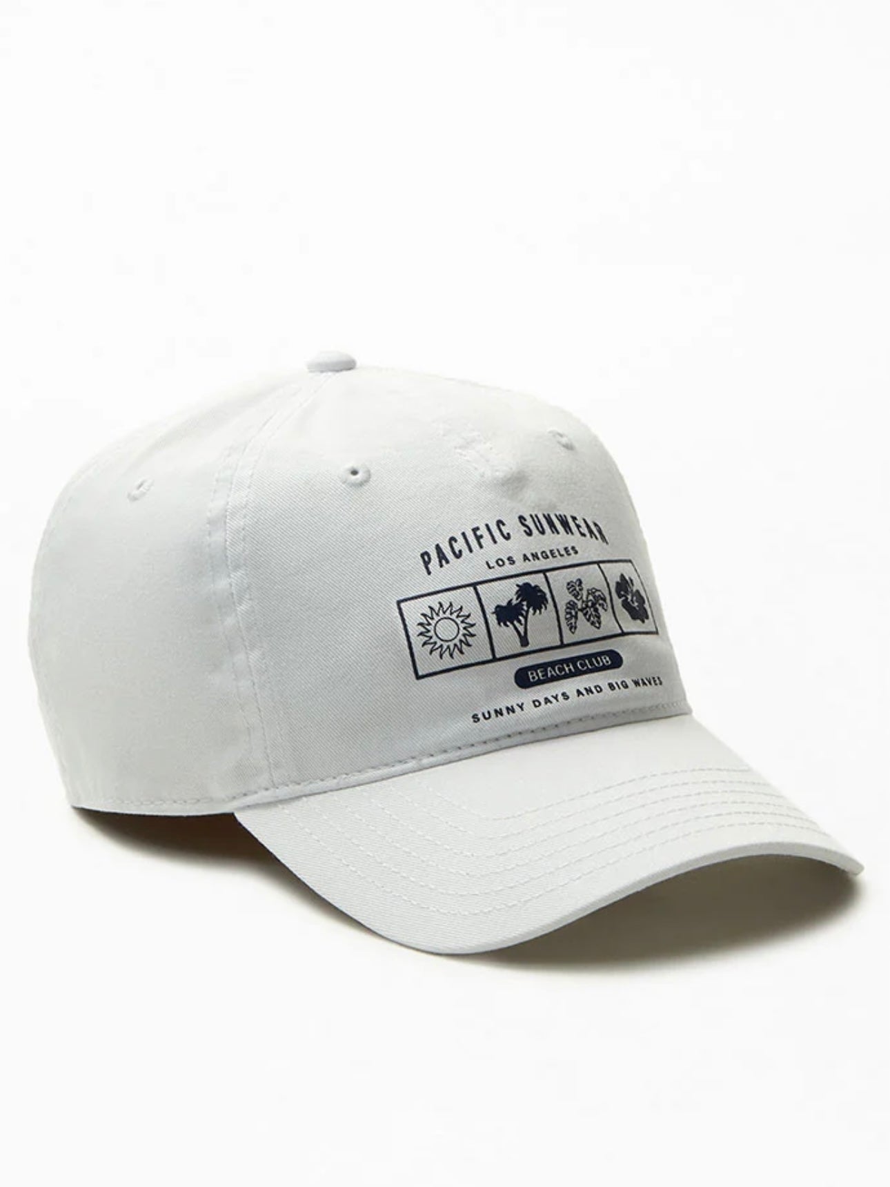 Pacific Sunwear Tropical Dad Hat